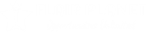 Flair Planet Logo White